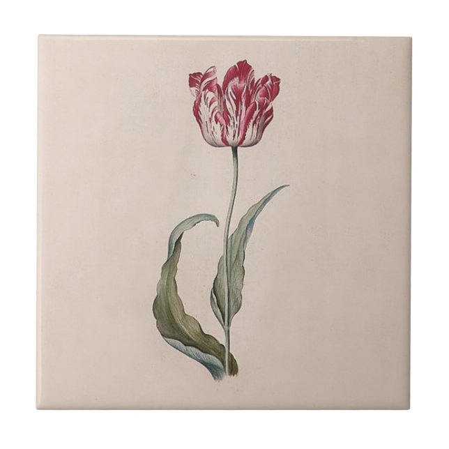 Carreau Tuile de tulipe de Judith Leyster (Devant)