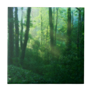 Carreau Tuile décorative de fertilité