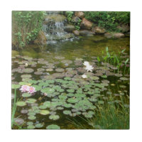 Tuile d'étang de Koi