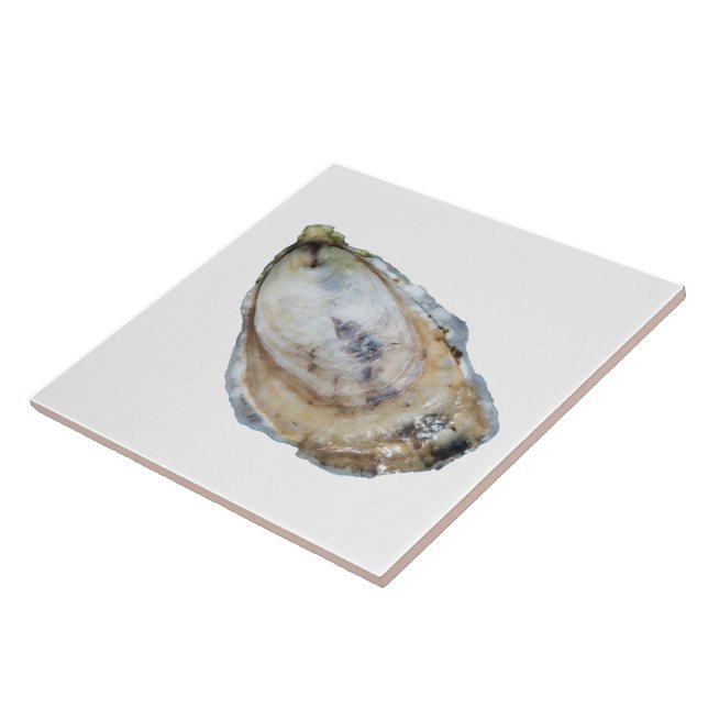 Carreau Tuile d'huître - concevez un blanc (Côté)