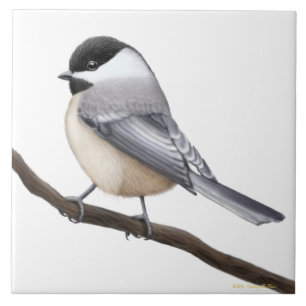 Carreau Tuile d'oiseau de Chickadee couverte par noir