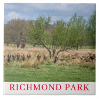 Tuile en céramique de cerf de London Richmond Park