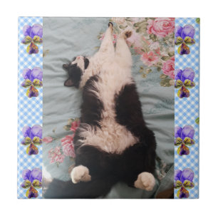 Carreau Tuile en céramique de Tuxedo Cat Dormir Funny Cat