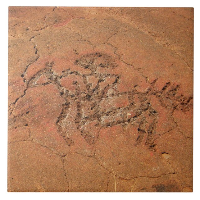 Carreau Tuile en céramique Petroglyphe Sud-Ouest (Devant)