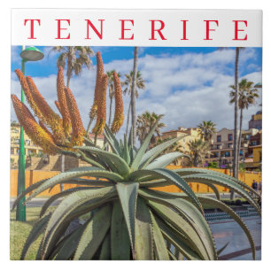 Carreau Tuile en céramique plante Tenerife Aloe Vera
