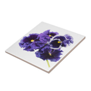 Carreau Tuile en céramique violet Pansy