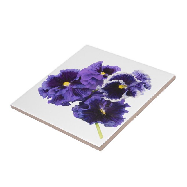 Carreau Tuile en céramique violet Pansy (Côté)