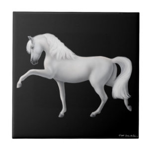 Carreau Tuile espagnole d'étape de cheval andalou