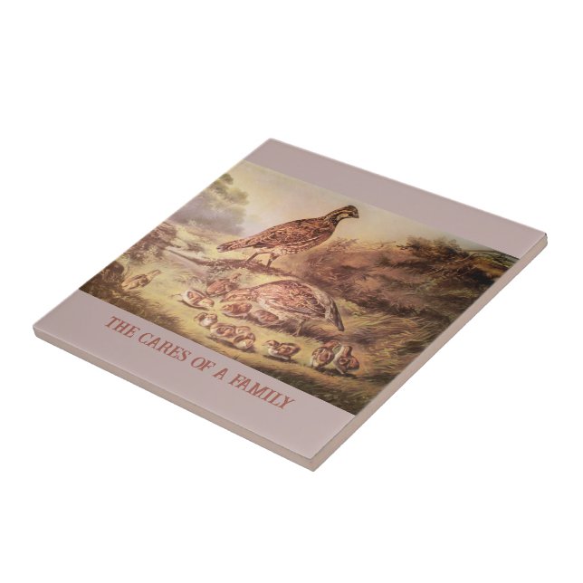 Carreau Tuile Quail Family (Côté)