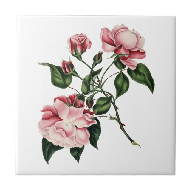 Carreau Tuile rose de cru (Devant)