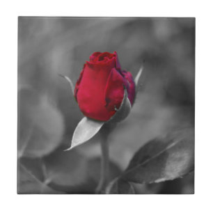 Carreau Tuile rouge de Rosebud