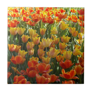 Carreau Tulière en céramique orange et jaune