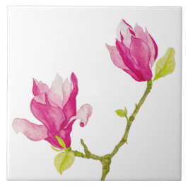 Carreau Tulip Magnolias sur un carrelage en céramique (1)