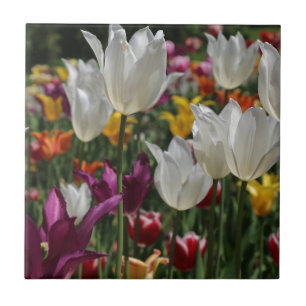 Carreau Tulipes