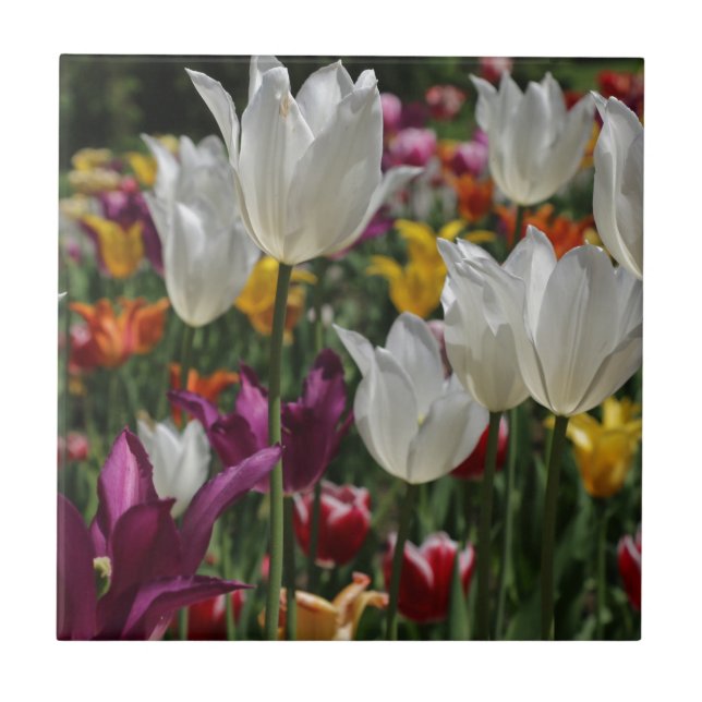 Carreau Tulipes (Devant)