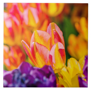 Carreau Tulipes Envoûtantes