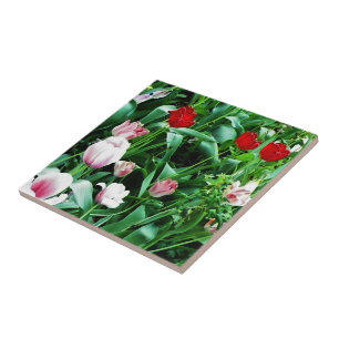 Carreau Tulipes rouges et roses images Spoon Repos