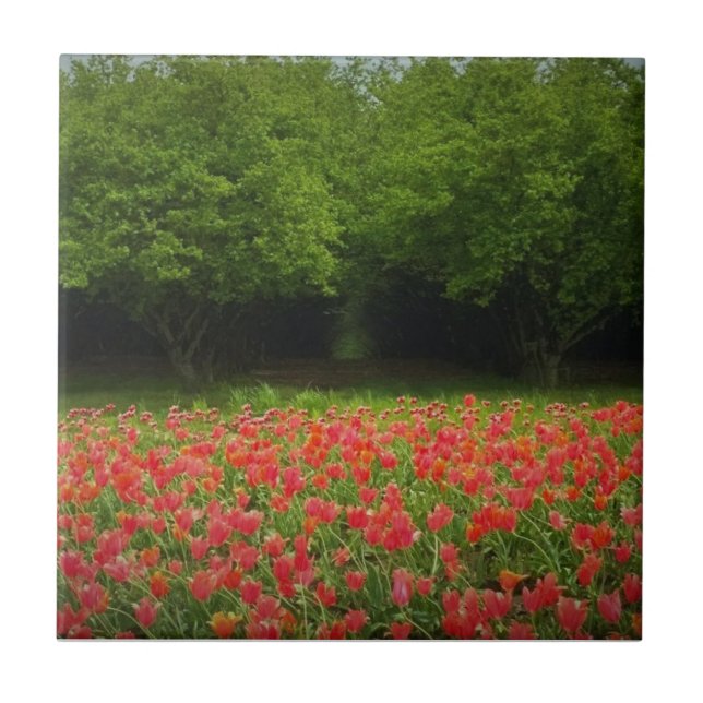 Carreau Tulips et Trees (Devant)