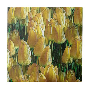 Carreau Tulips Sunshine Yellow