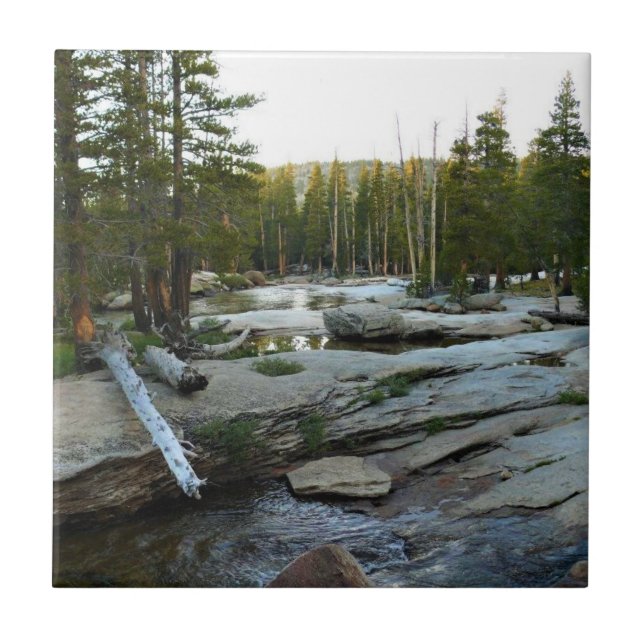 Carreau Tuolumne river by campground, yosemite, CA (Devant)