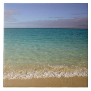 Carreau Turks et Caïcos, île de Providenciales, Grace 2