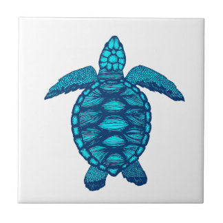 Carreau turtle