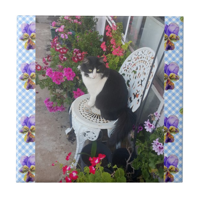 Carreau Tuxedo Cat flower Funny Cats viola Ceramic Tile (Devant)