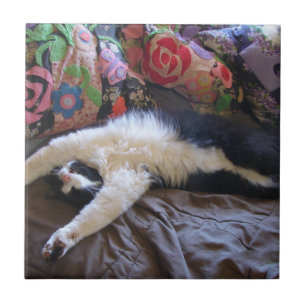 Carreau Tuxedo Chat Funny Mexicaine Vague Cute Anniversair