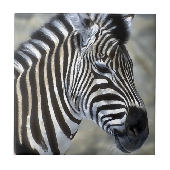 Carreau Type de Zebras Lovers (Devant)