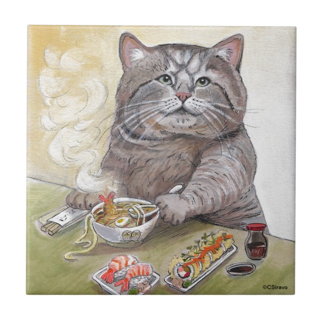 Carreau Udon de Tempura de chat de sushi (Devant)