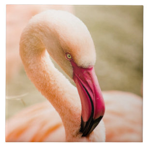 Carreau Un Beau Flamant rose Rose