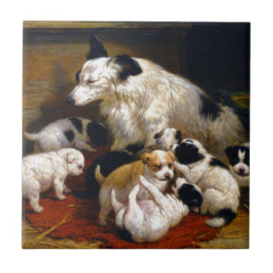 Carreau Un chien et ses chiots