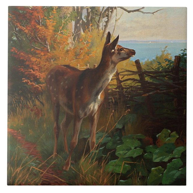 Carreau Un Joli Cerf En Forêt (Devant)