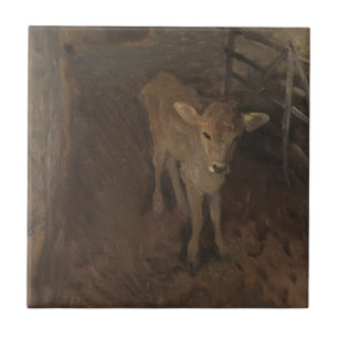 Carreau Un veau du Jersey