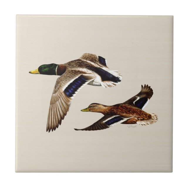 Carreau Une paire de canards colverts (Devant)