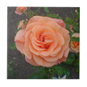 Carreau Une seule fleur d'orange