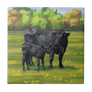 Carreau Vache d'Angus noir et veau mou en pâturage d'été
