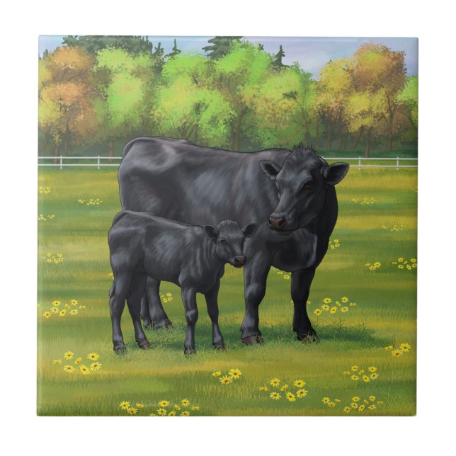 Carreau Vache d'Angus noir et veau mou en pâturage d'été (Devant)