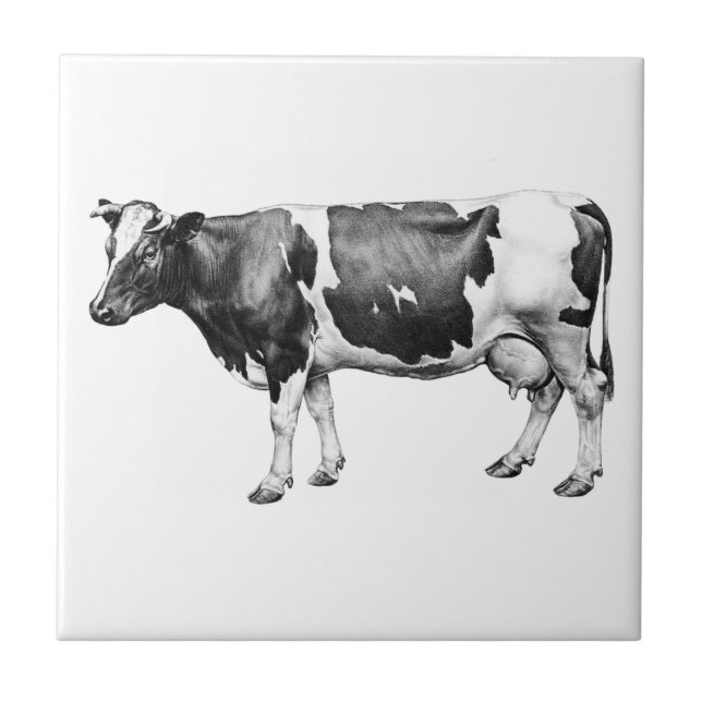Carreau Vache laitière primatrice (Devant)