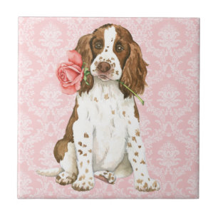 Carreau Valentine Rose Anglais Springer