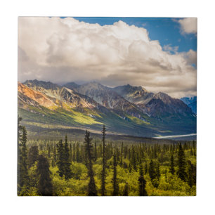 Carreau vallée de Matanuska, centre-sud de l'Alaska #2