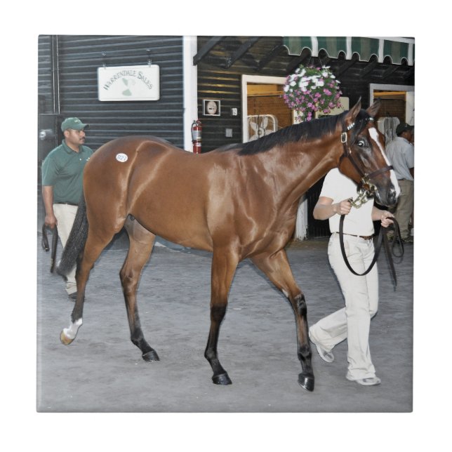 Carreau Ventes choisies de Fasig Tipton chez Saratoga (Devant)