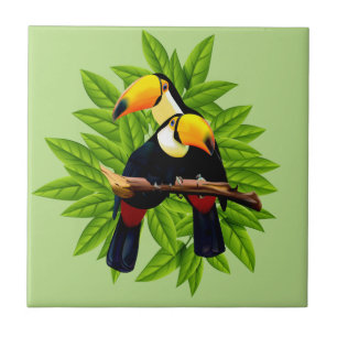 Carreau Vert de duo de toucan