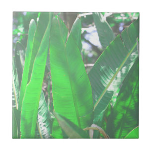 Carreau Vibes d'été Banana Tree Feuilles Pale Green Pastel