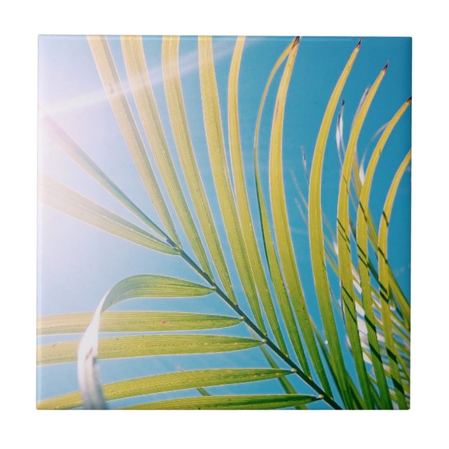 Carreau Vibes Positives Palm Tree Sunny (Devant)