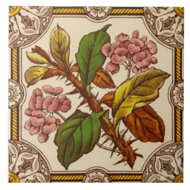 Carreau Vidéo de transfert couleur Rose sauvage des années (Devant)