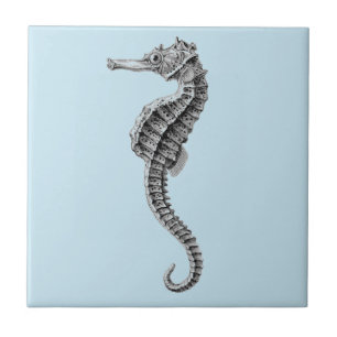 Carreau vie marine "SEAHORSE" TILE CÉRAMIQUE