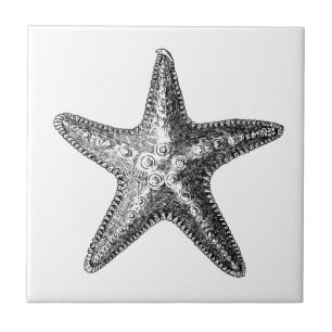 Carreau vie marine "STARFISH" TILE CÉRAMIQUE