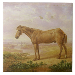 Carreau Vieux Billy, un cheval de trait, âgé 62 (huile sur
