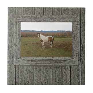 Carreau Vieux cheval en bois de peinture de fenêtre